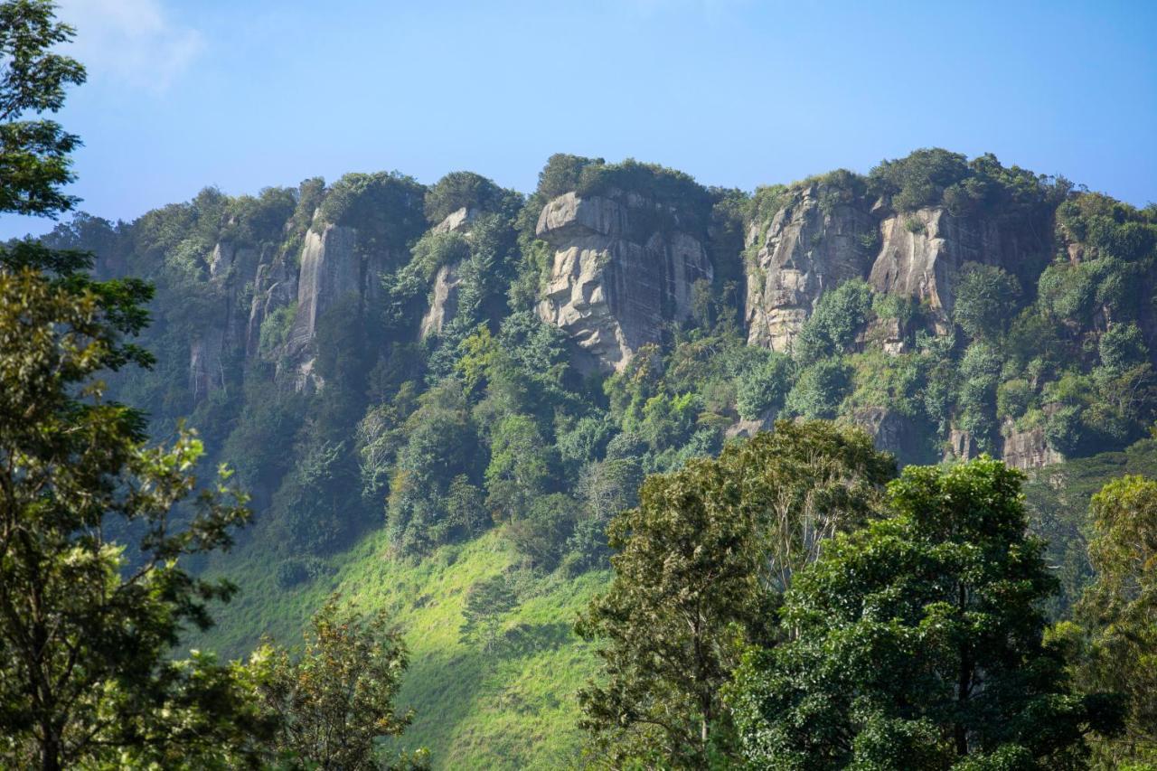 W15 Hanthana Estate Kandy Luaran gambar